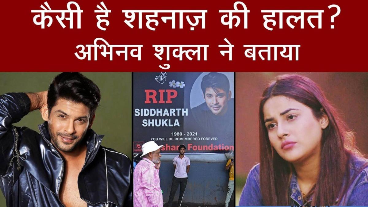 How is Shehnaaz Gill