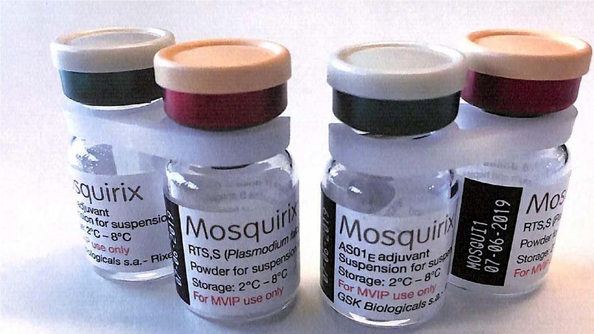 Malaria vaccine