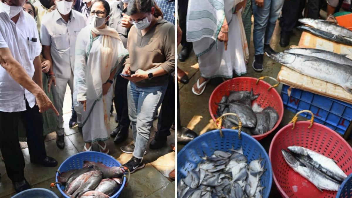 West Bengal CM Mamata Banerjee (Credit-PTI)