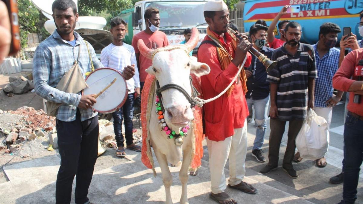 मन्नत के बाहर ढोल-ताशे के साथ फैंस ने किया आर्यन खान का गर्मजोशी से स्वागत