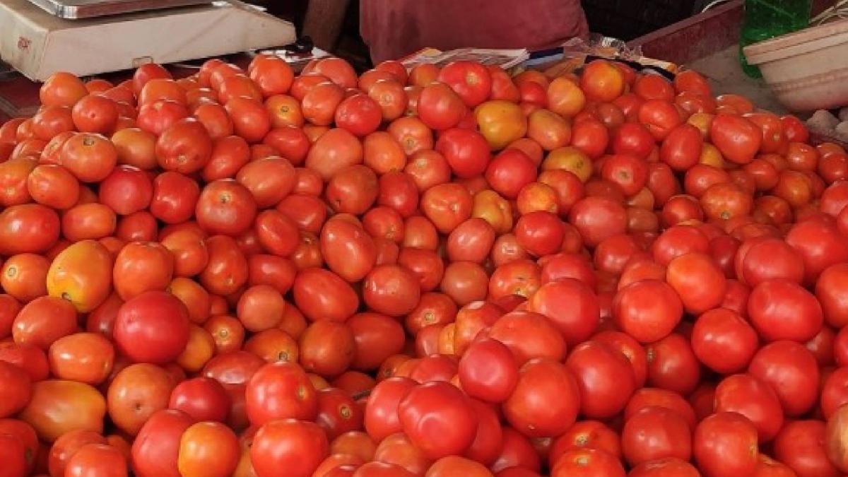 Tomato prices hike