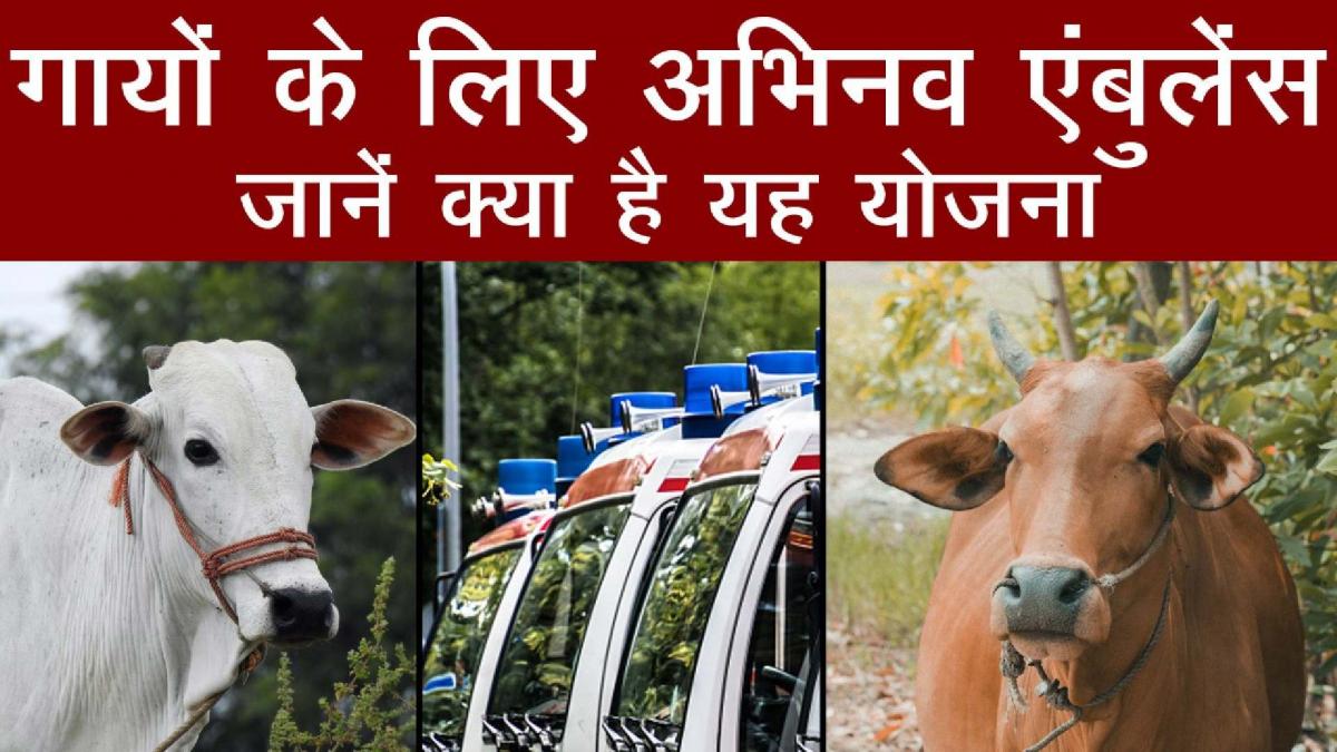 Abhinav Ambulance Service 