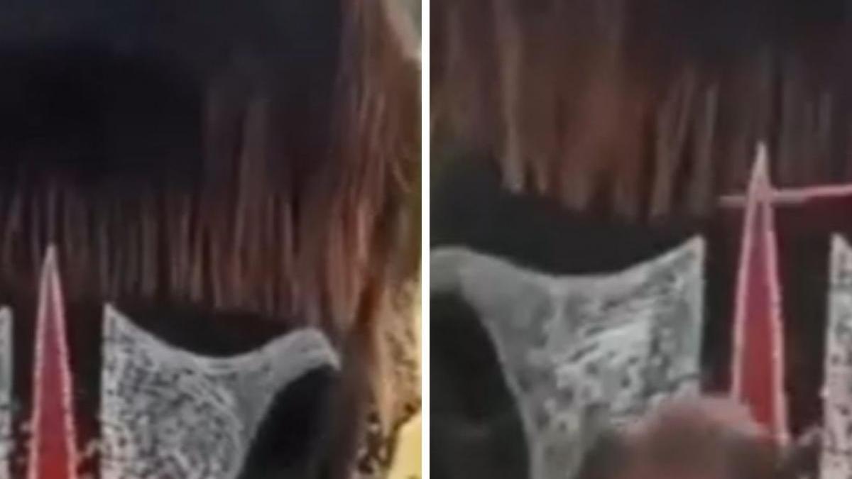 वायरल हुई हाथी का बॉब-कट, लोगों को पसंद आया हेयरस्टाइल