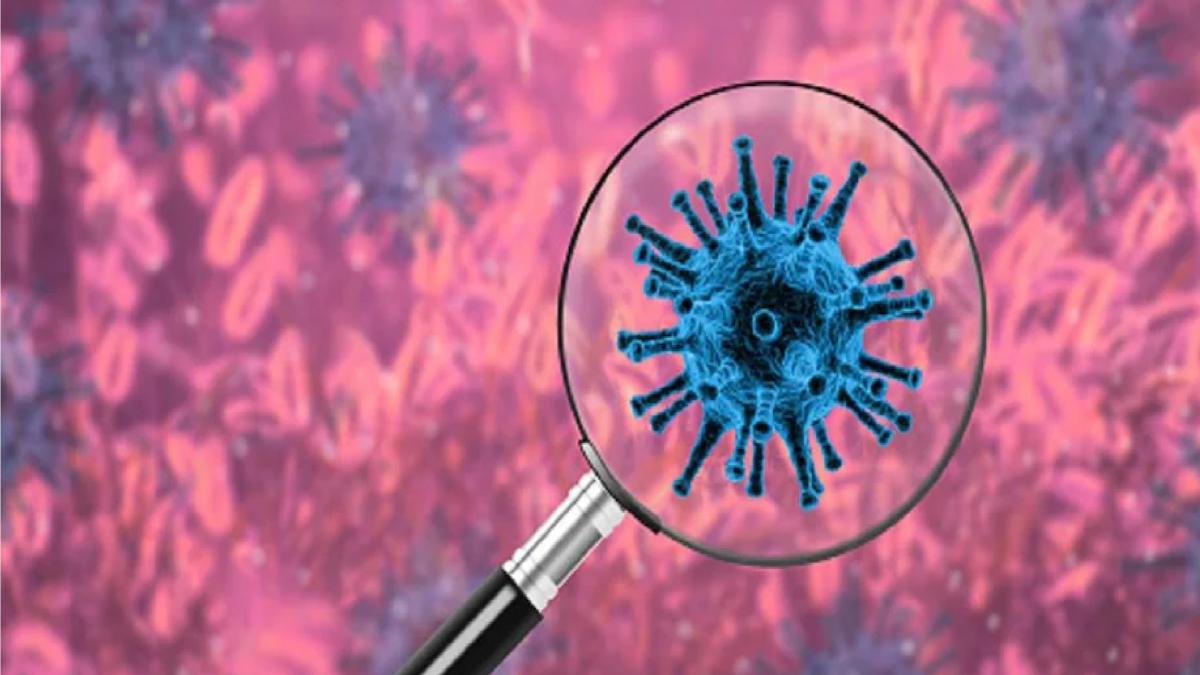 Omicron Corona Variant