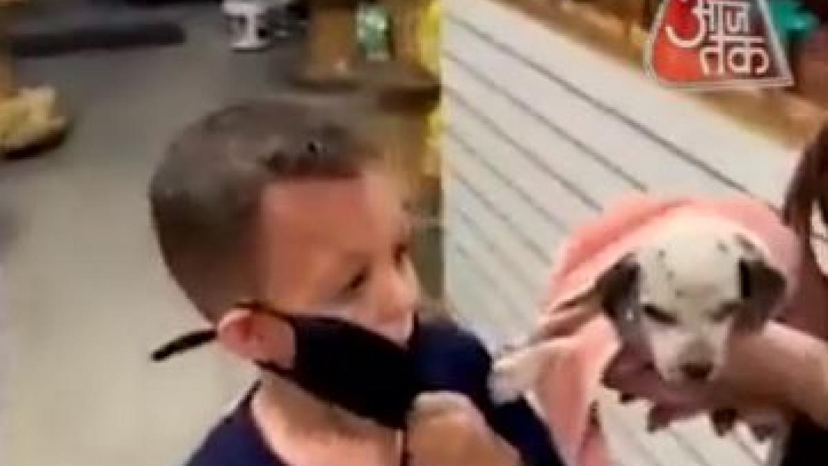 पपी को देख खुशी से रोने लगा बच्चा, देखें सोशल मीडिया पर वायरल वीडियो