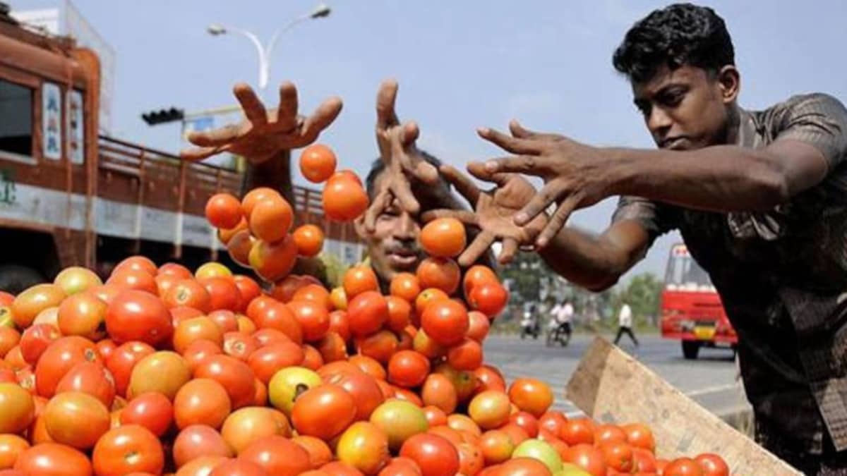 Tomato Price 