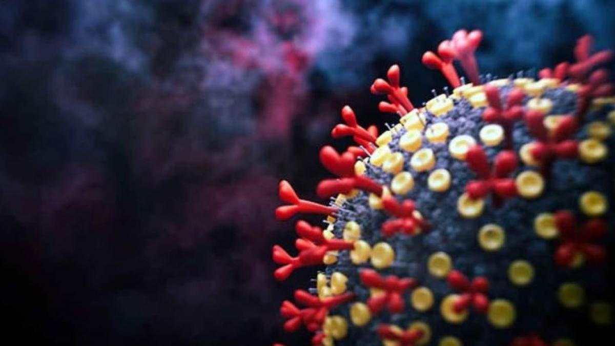 Coronavirus: भारत में Omicron की दस्तक, कर्नाटक में मिले 2 केस