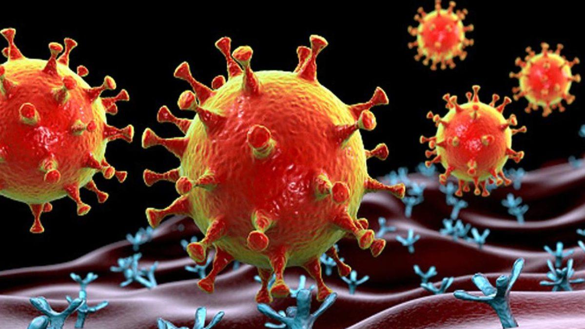 Omicron virus 