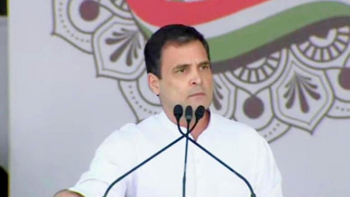 Congress Rahul Gandhi (Credit- twitter.com/vipinnunia1)