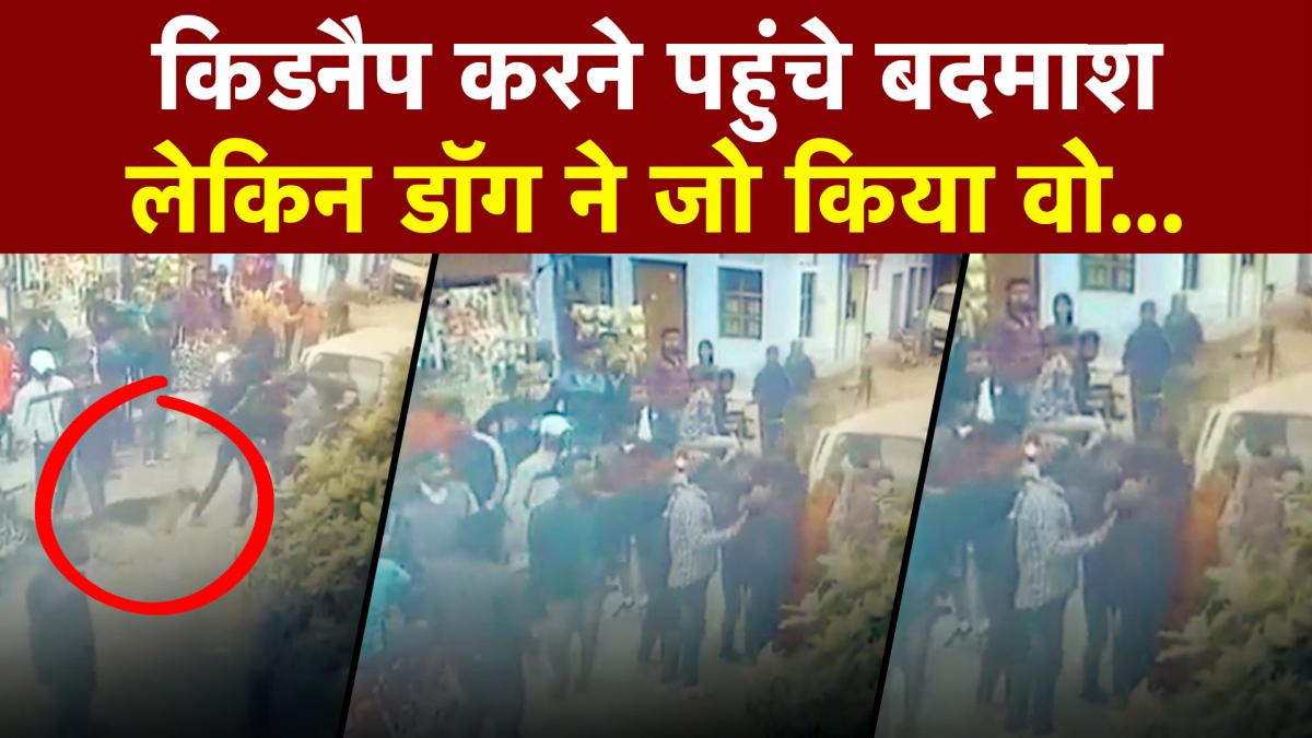 Dog saved his owner from Kidnapper 