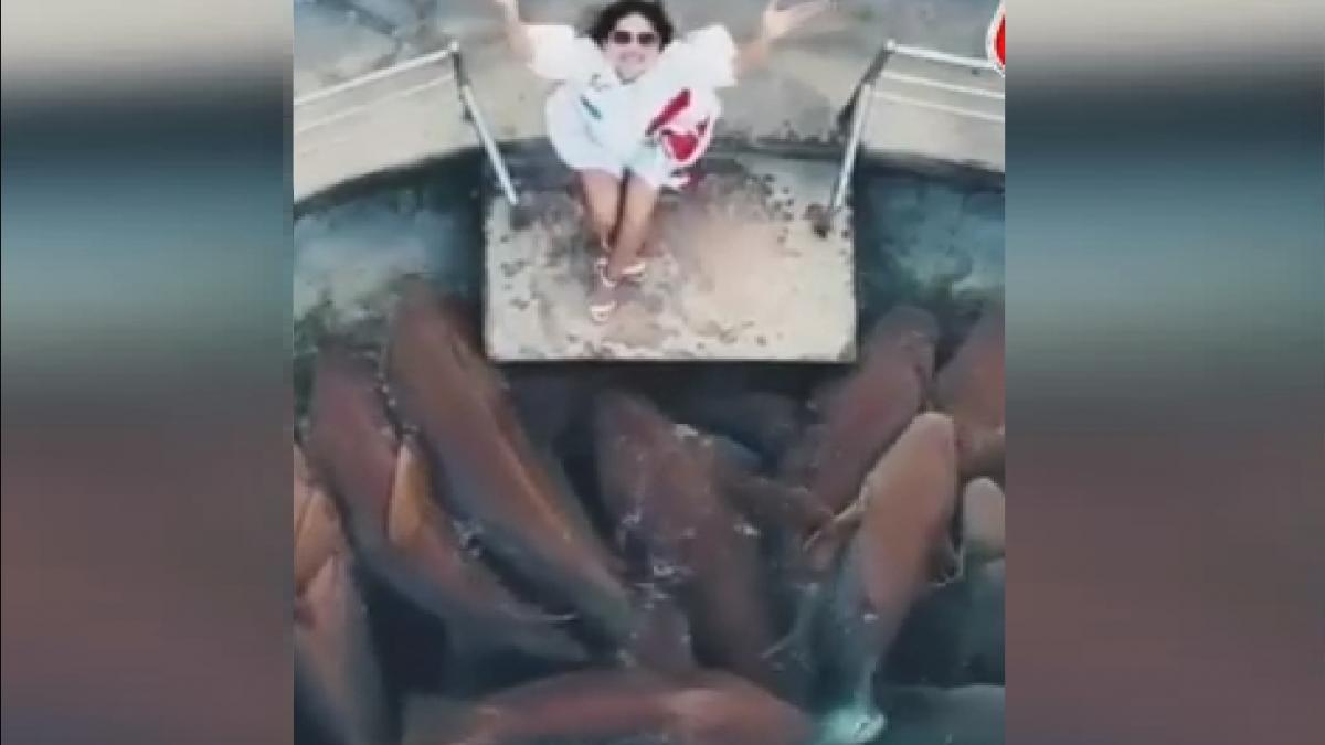 Sunny Leone in Maldives