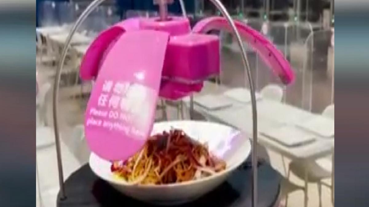 Winter Olympics 2022