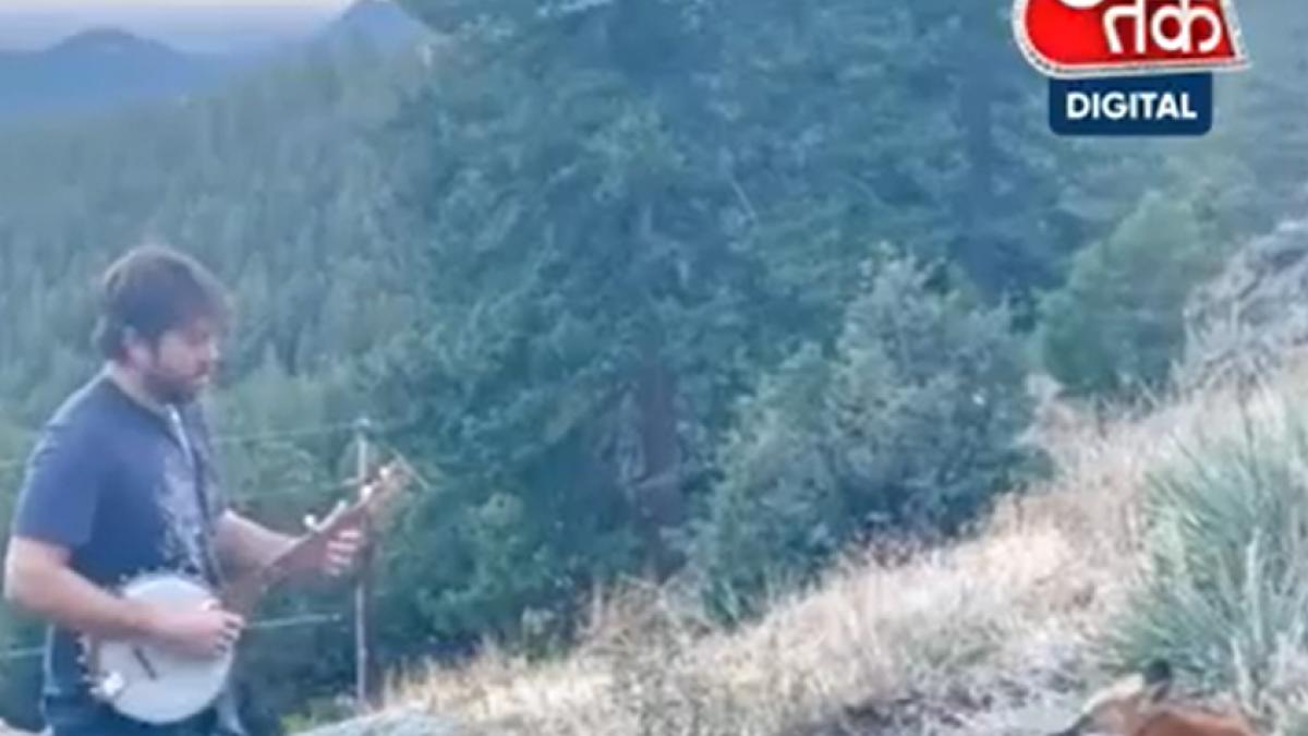 colorado man plays banjo for a fox