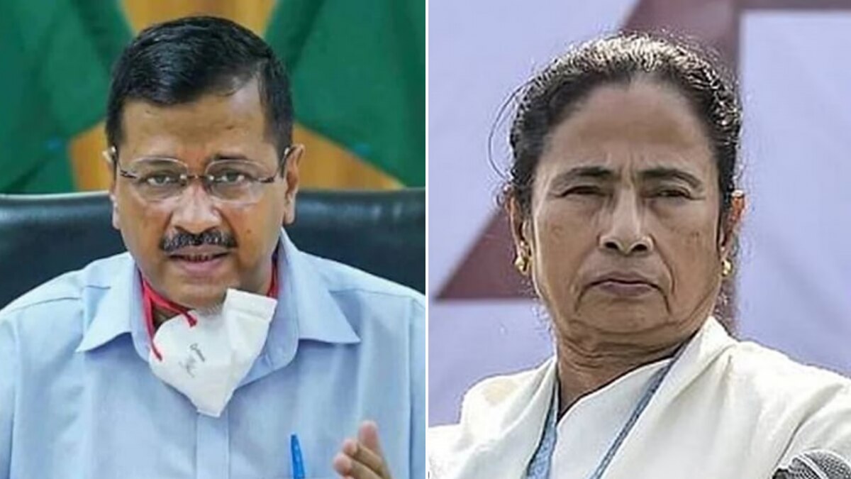 Local Parties AAP and TMC to contest assembly election in Goa 