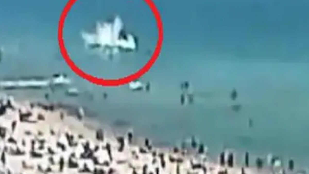 Miami Helicopter Crash