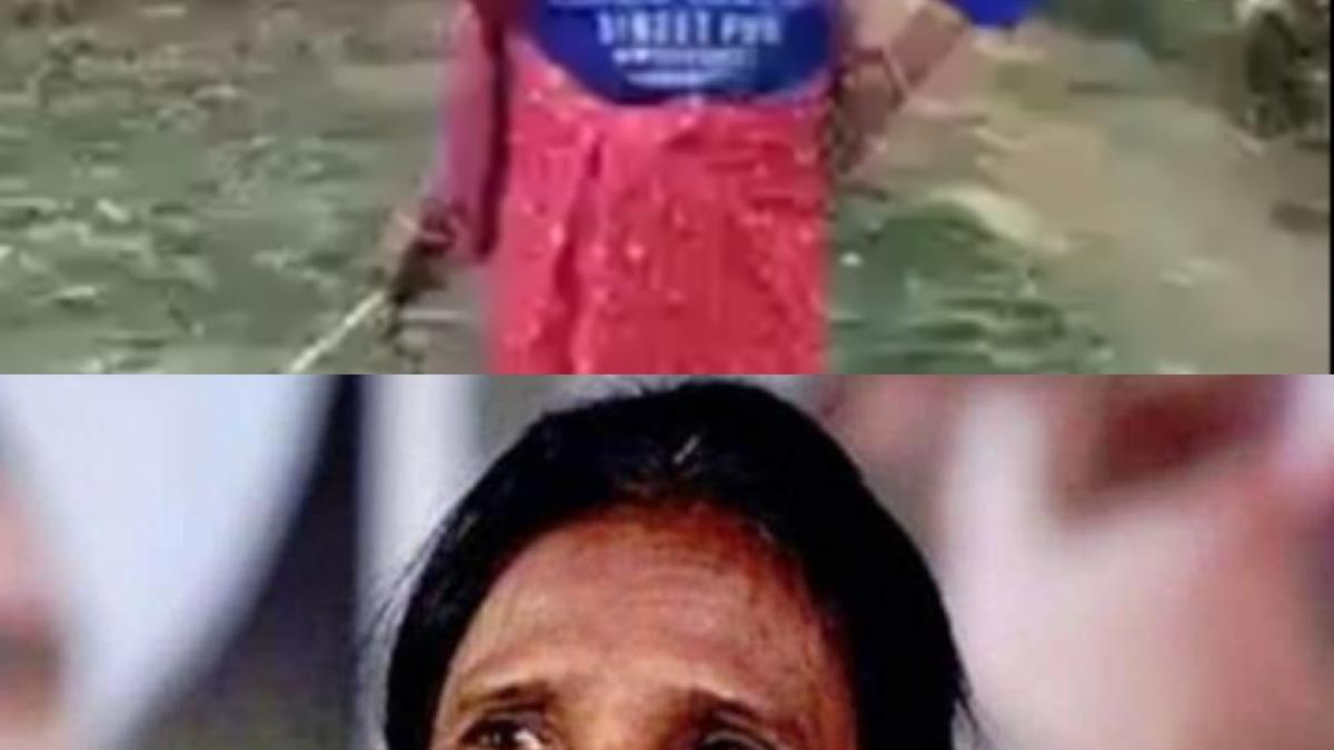 Ranu Mandal Pushpa fever