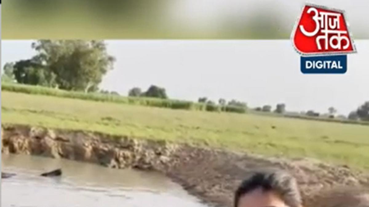 Sapna choudhary Viral Video 