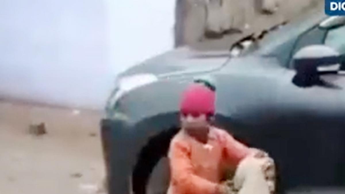 Two brothers viral Video