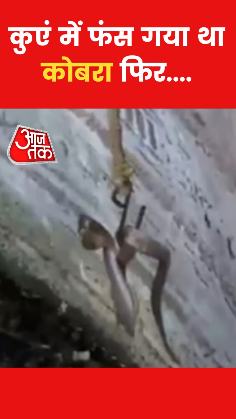 Viral Video of Snake: कोबरा नाग का रेस्क्यू मिशन! महाराष्ट्र से सामने आया वीडियो