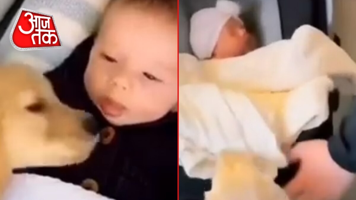 Dog Jumped With Joy Watching Baby बच्चे को देखते ही खुशी से झूम उठा