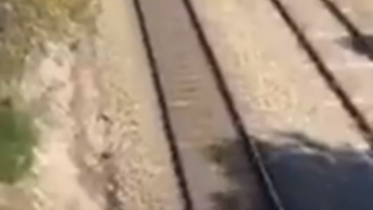Man saved dog from train video getting viral 