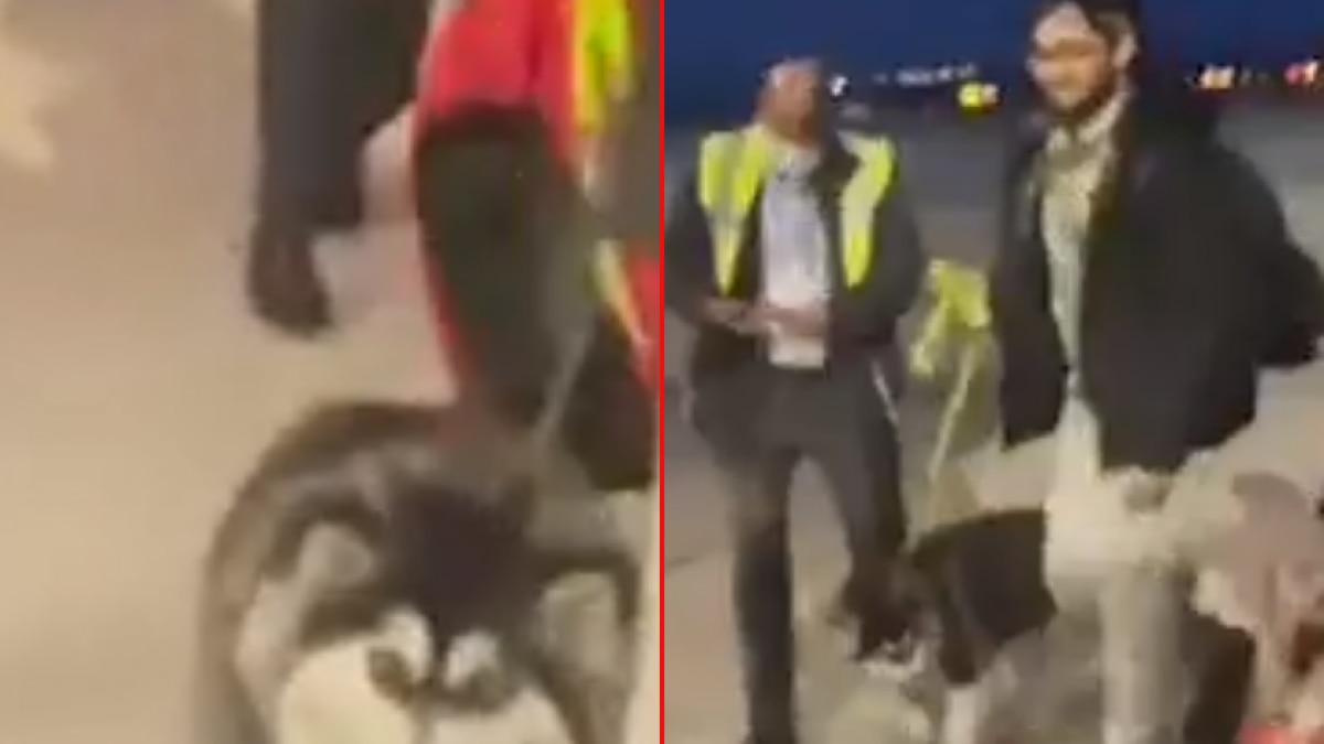 Doggy Coming To India