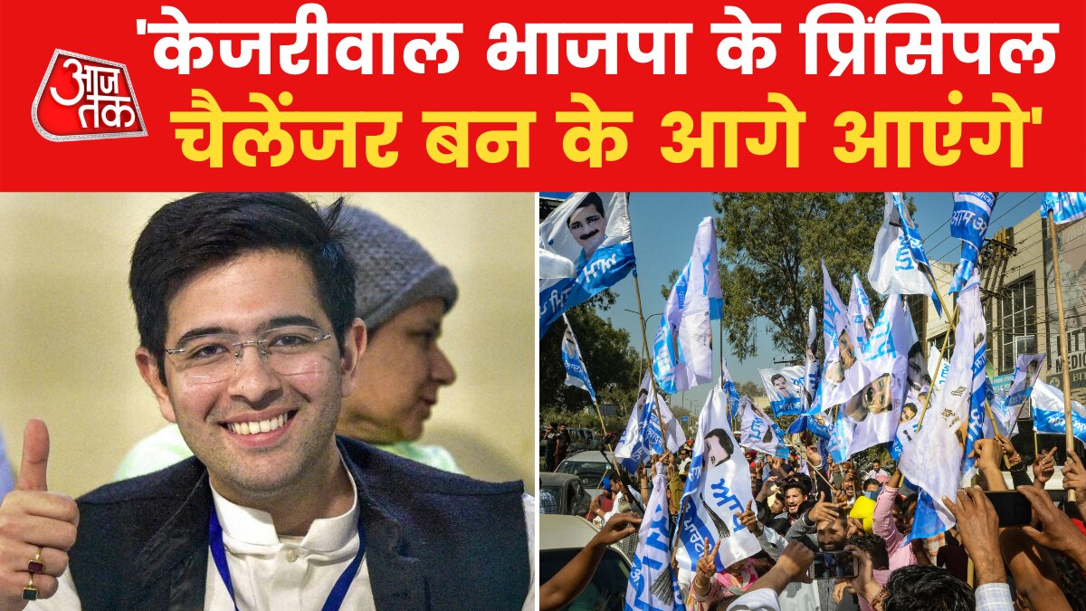 Punjab Vidhan Sabha Chunav Results 2022: Raghav Chadha