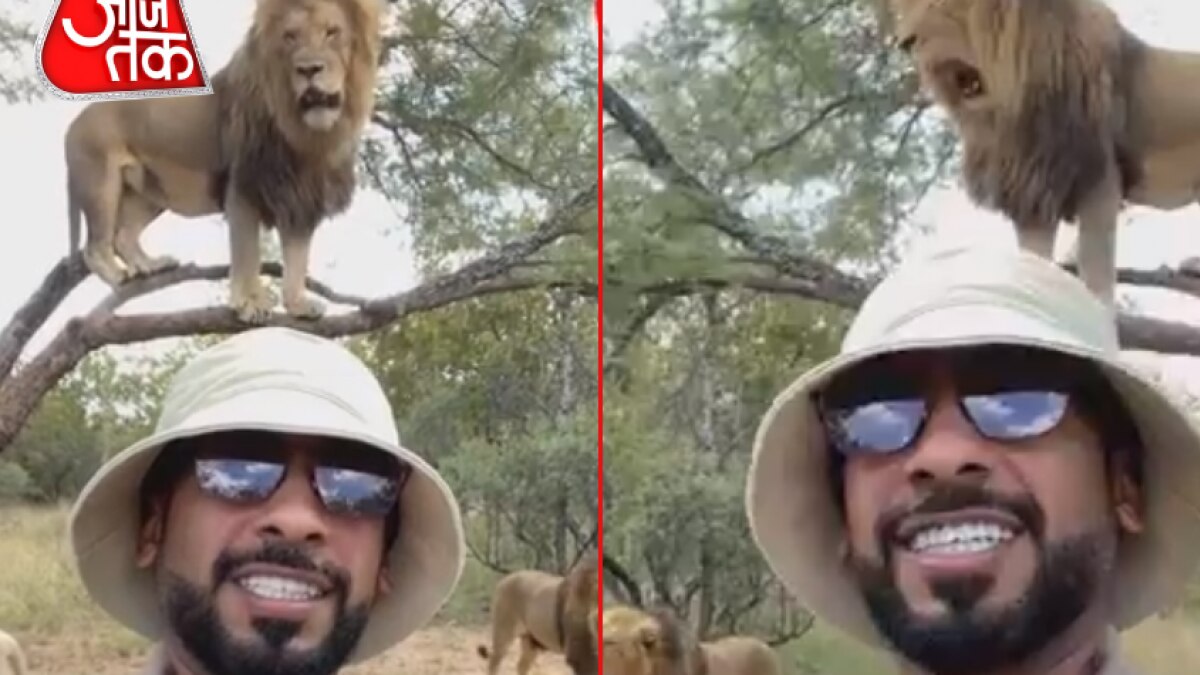Selfie with lion