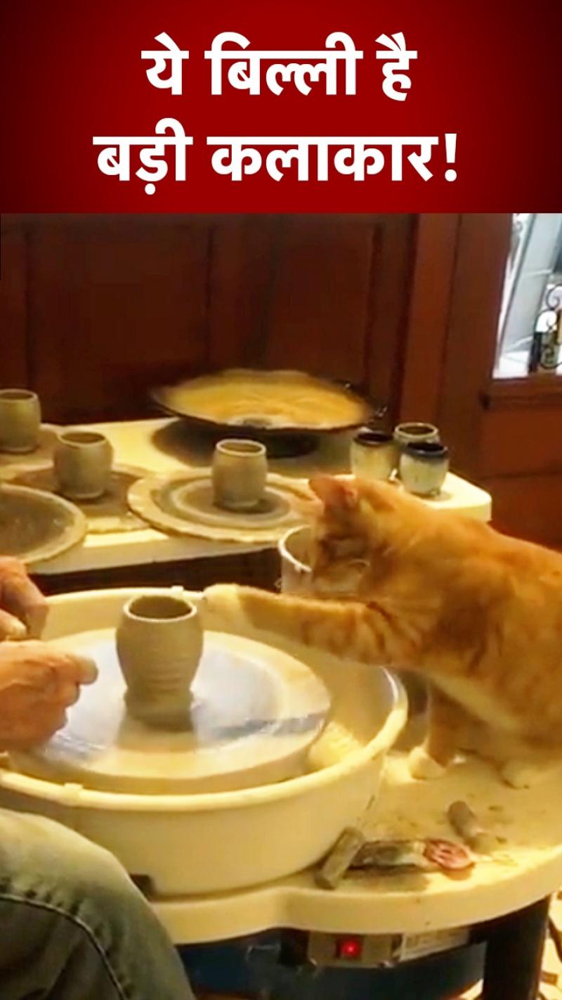 Viral Cat Video: बड़ी कलाकार है ये बिल्ली, इस तरह बनाती है मिट्टी के बर्तन !