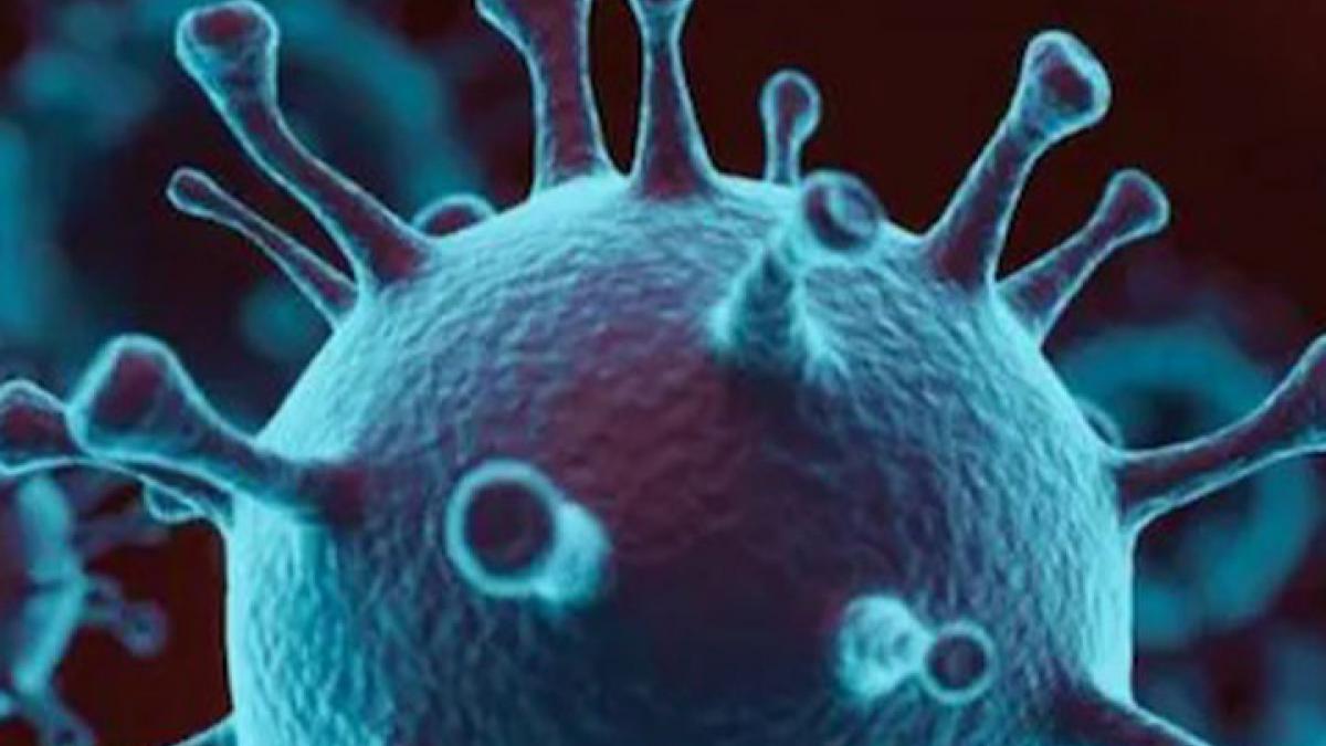 3303 new cases of corona in the country in last 24 hours News in hindi mmt