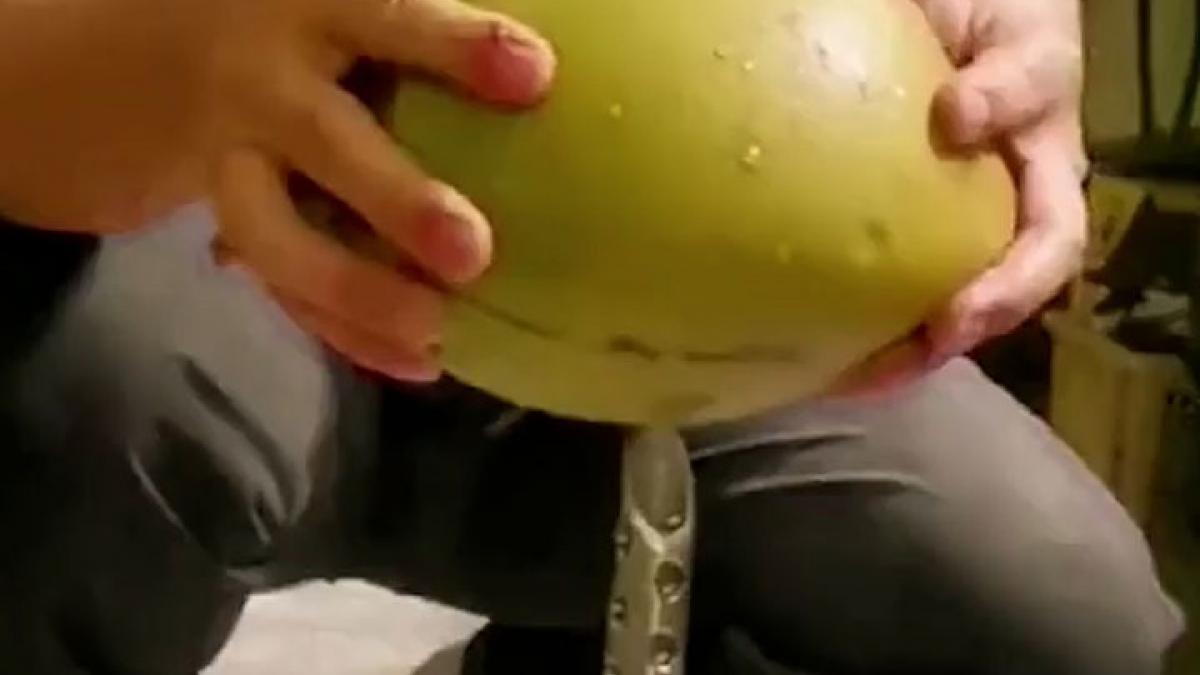 Man extracted coconut water from desi jugaad Video viral MMT