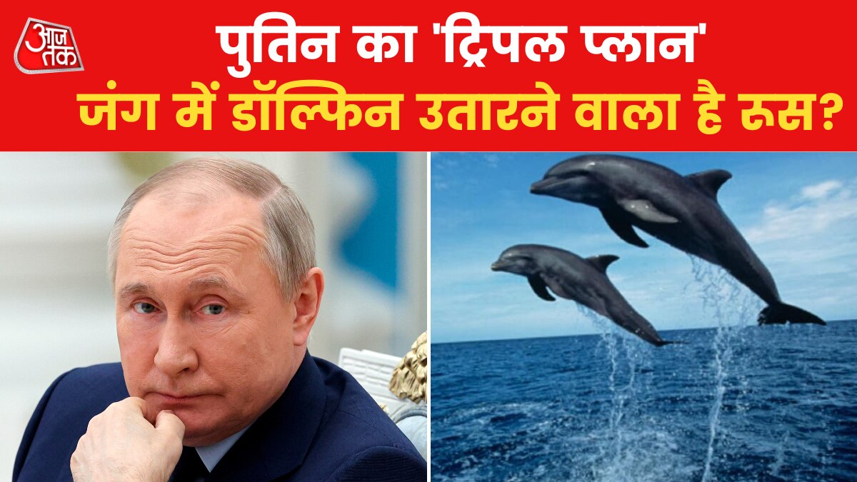 putin military dolphins