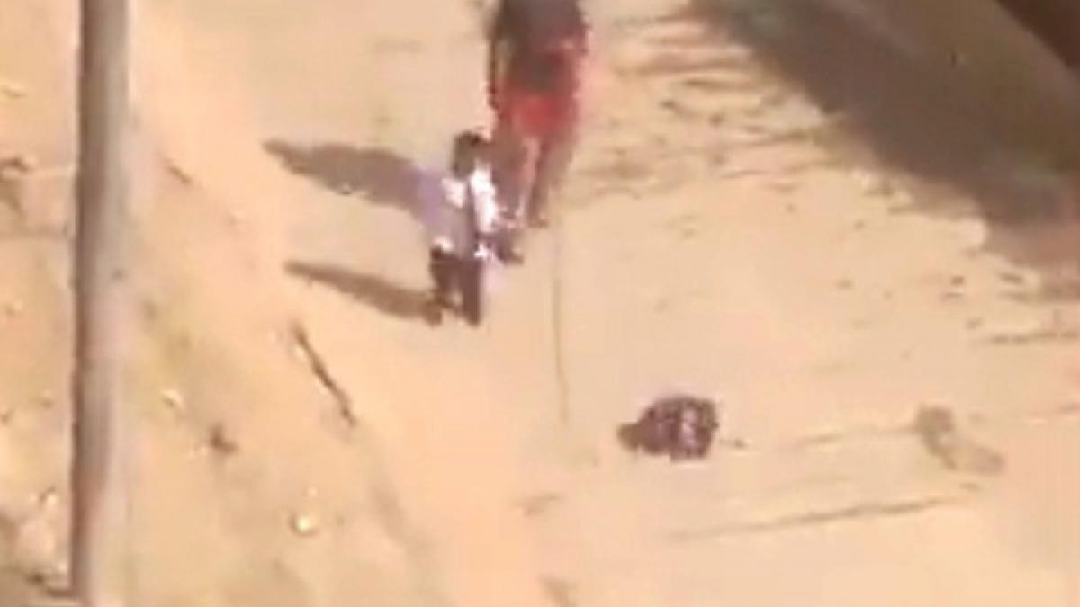 viral video of school boy