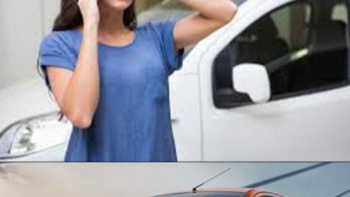 nissan motors datsun