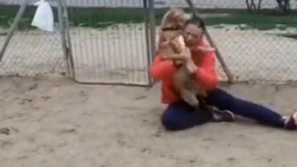 viral video of dog crying