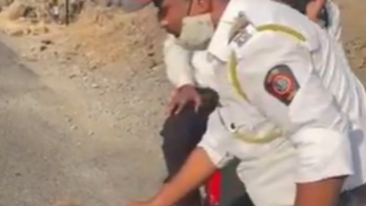 Viral Video of monkey