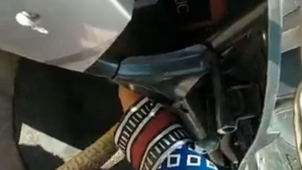 snake found in scooty