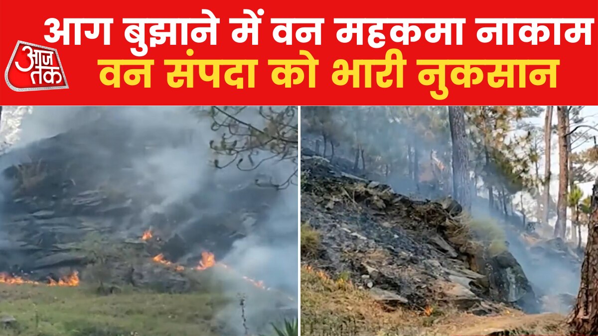 Fire in the forests of Bageshwar