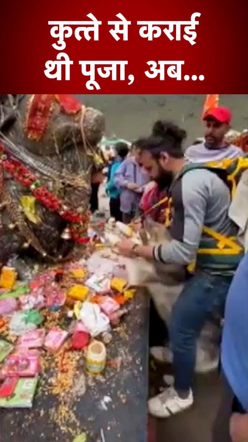 Kedarnath Temple: कुत्ते से कराई केदारनाथ मंदिर में नंदी की पूजा, अब होगी कार्रवाई