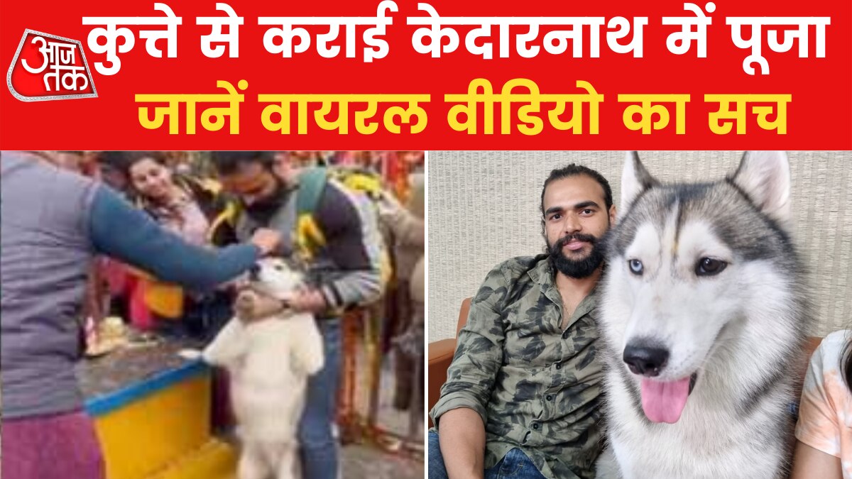 केदारनाथ में नंदी दर्शन करते 'नवाब' पर विवाद, सामने आए डॉग ऑनर