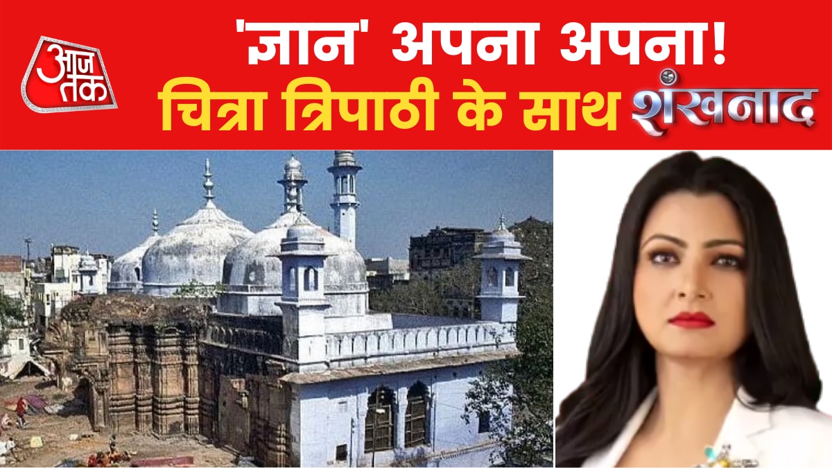 Gyanvapi survey report 