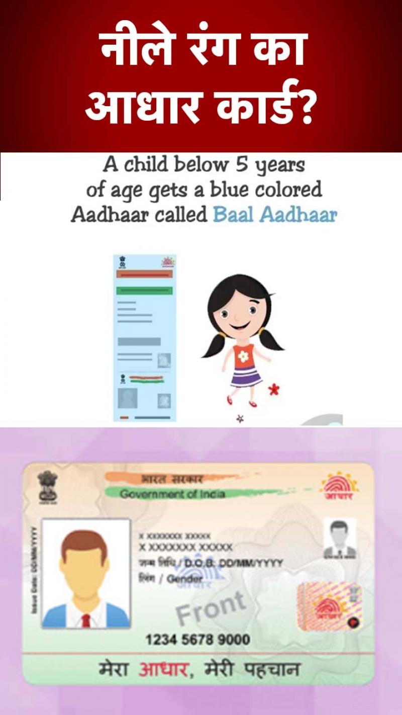 Blue Aadhar Card: नीले रंग का आधार कार्ड? किसके लिए जरूरी, जानें...