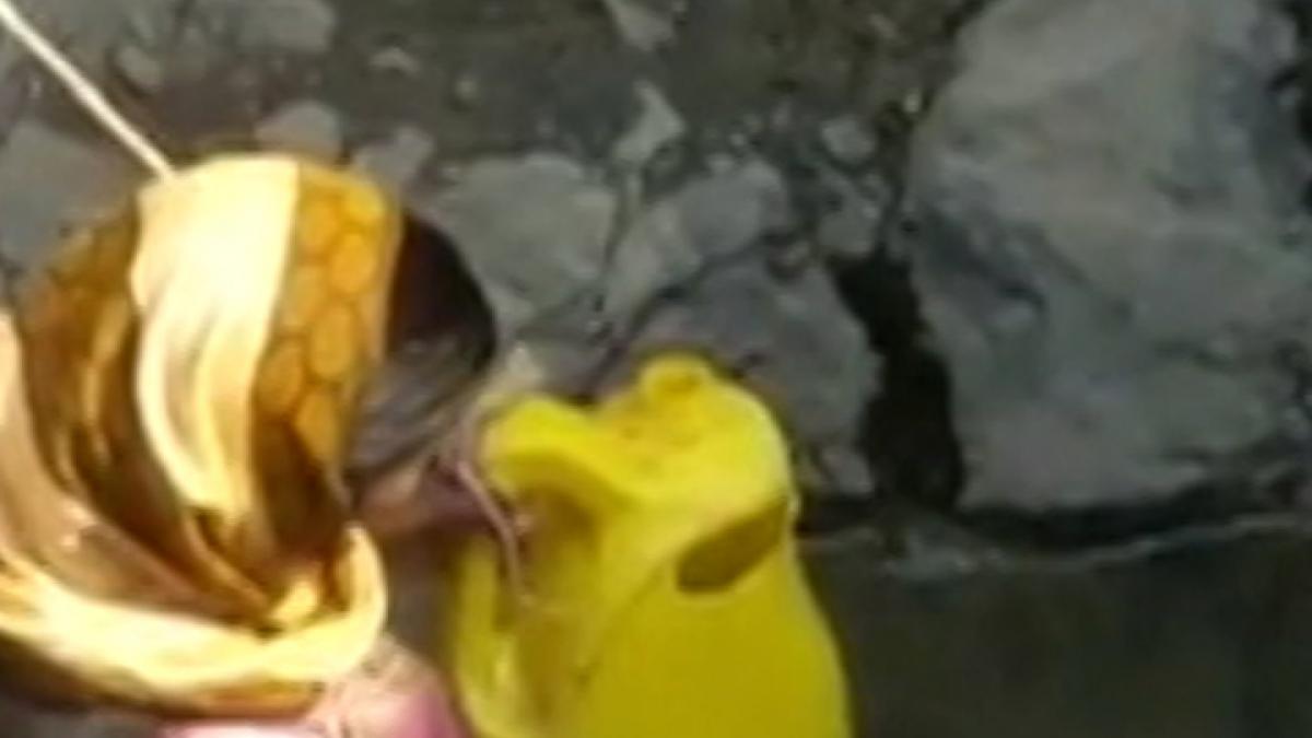 FIR registered here for stealing water