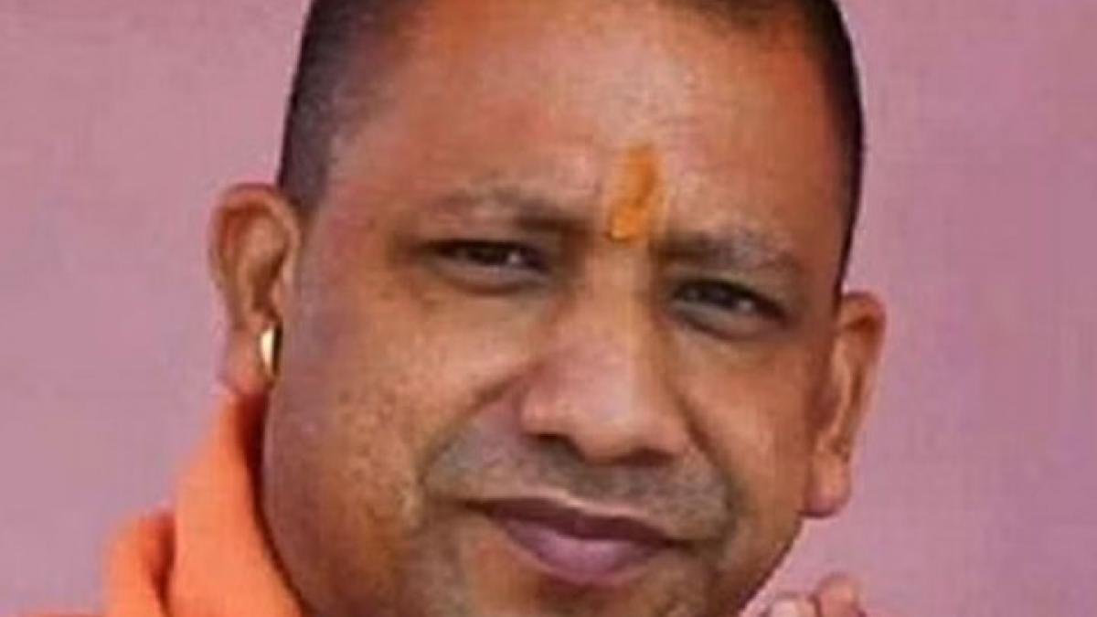 Cm YOgi