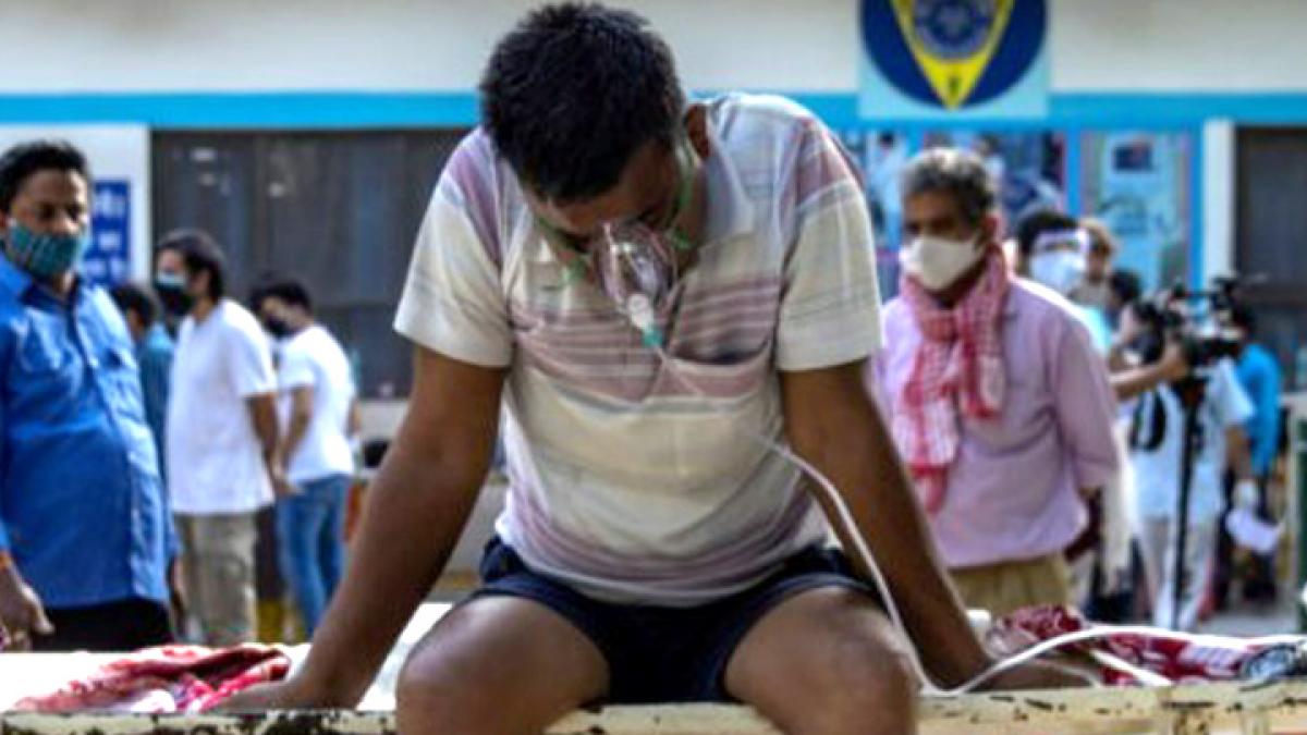 covid vaccine report