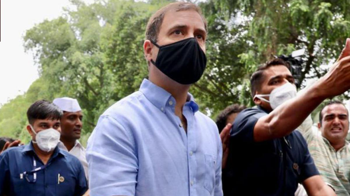 questions to rahul gandhi