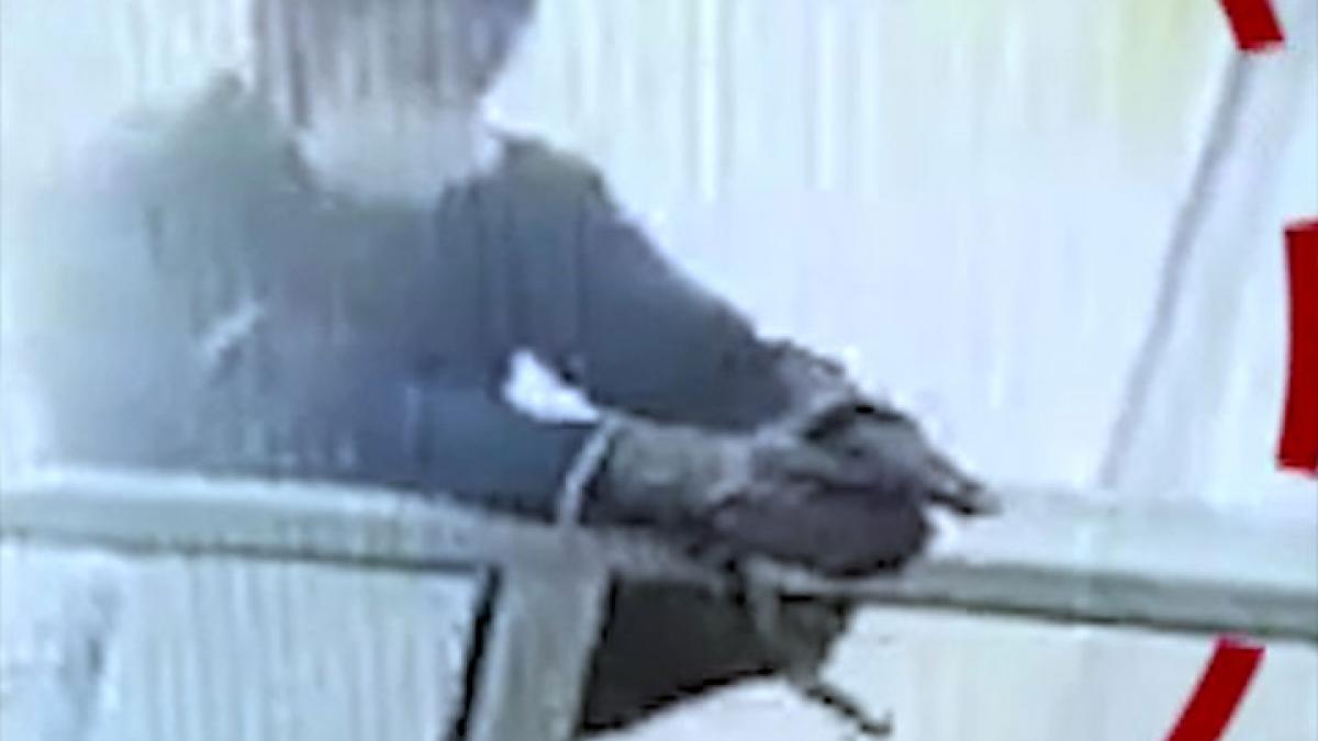 target killing in kashmir cctv