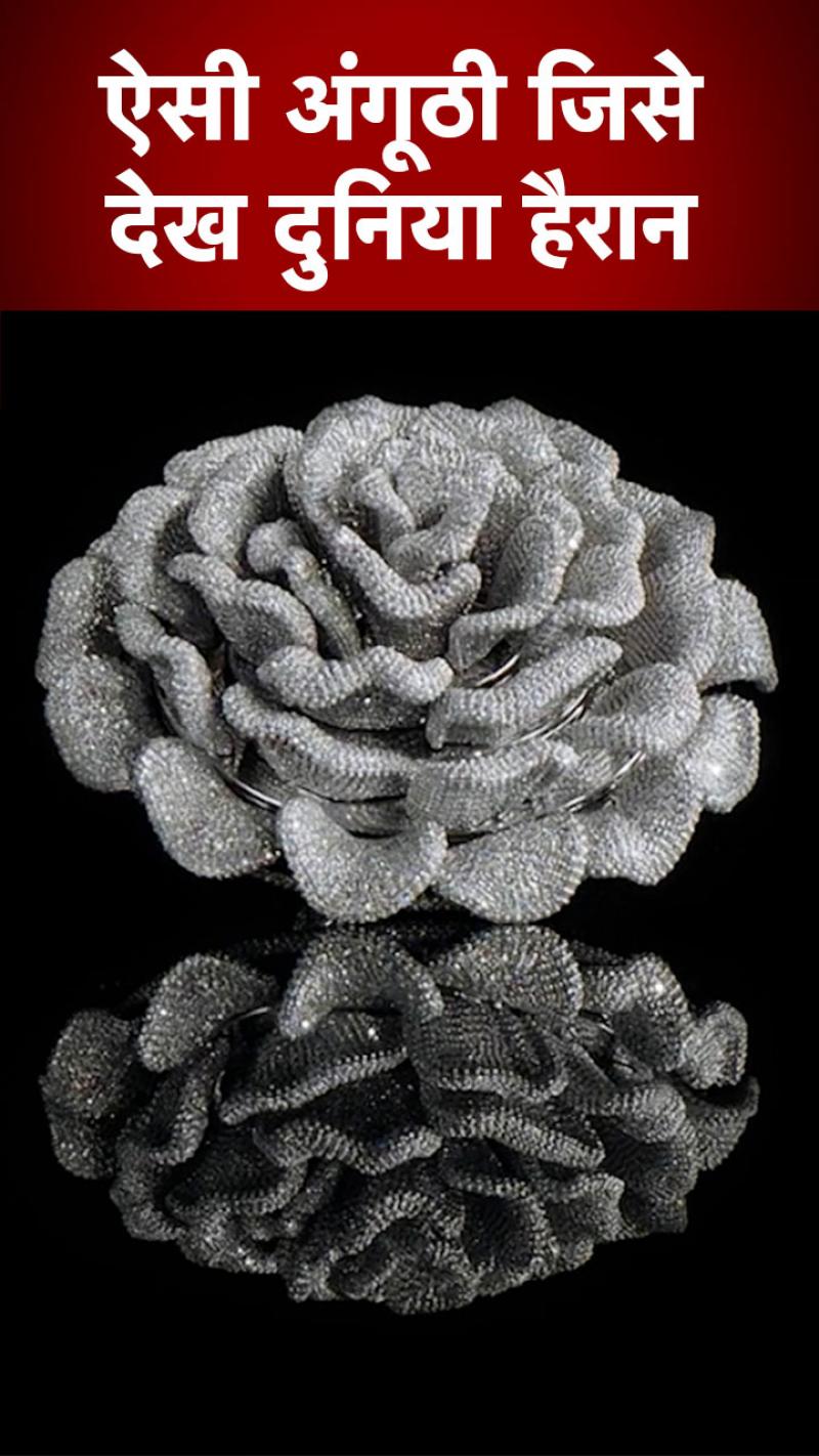 24 हजार से ज्यादा हीरों से जड़ी इस अंगूठी को जिसने देखा रह गया हैरान!