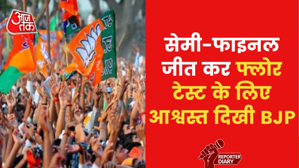 BJP celebrates victory