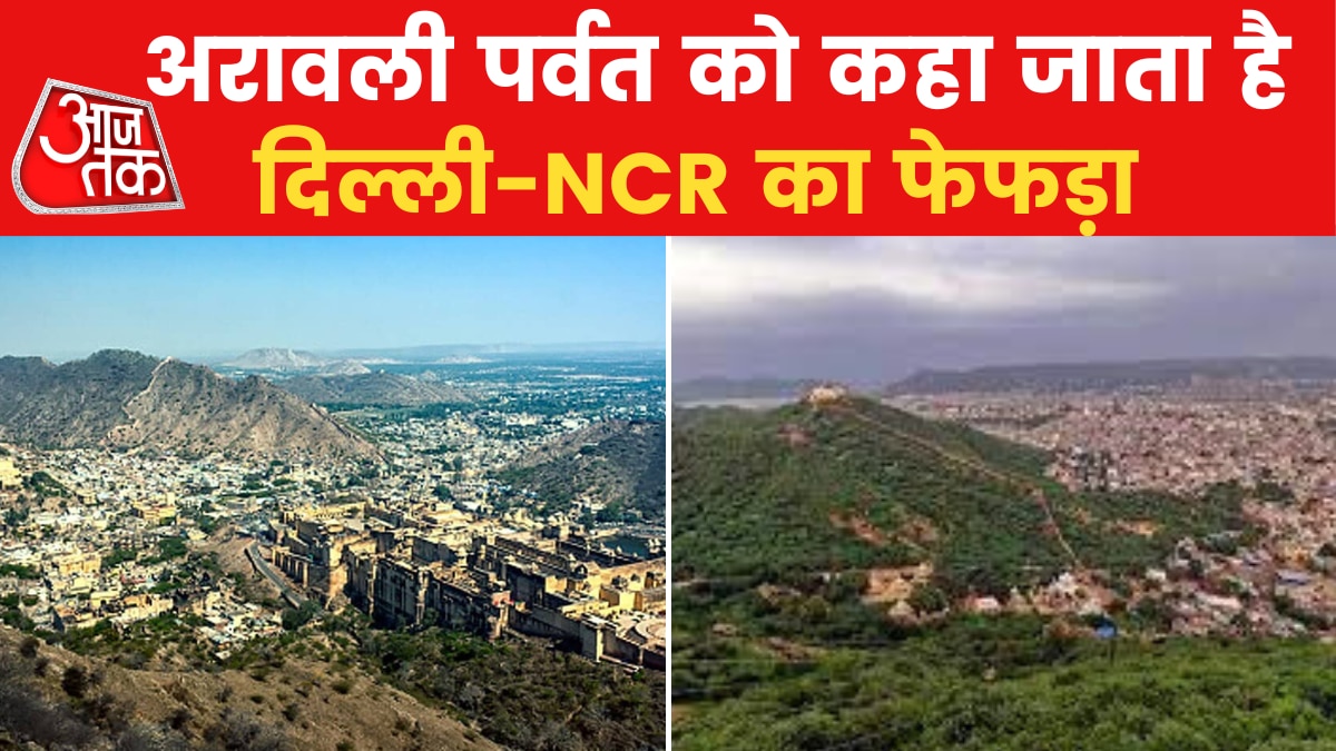 Heart Of Delhi Aravalli